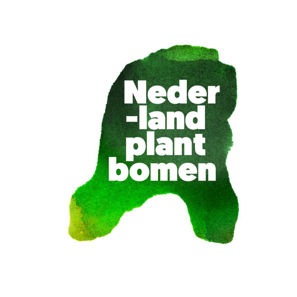 Plant hier een boom voor Groningen